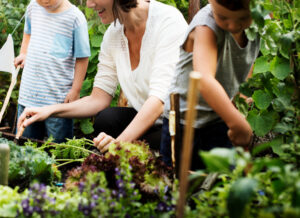 Eco Friendly Gardening